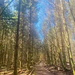 Σπίτι διακοπών Le Scailleteux - De Charme Cloture, Acces A La Riviere