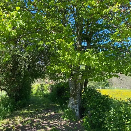 Le Scailleteux - De Charme Cloture, Acces A La Riviere