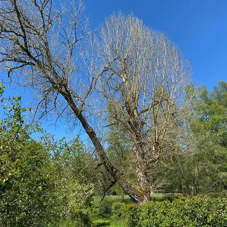 Le Scailleteux - De Charme Cloture, Acces A La Riviere Ferienhaus