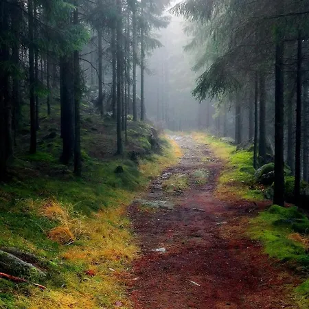 Le Scailleteux - De Charme Cloture, Acces A La Riviere Vakantiehuis Fauvillers