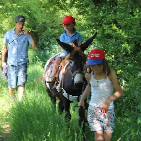 Le Scailleteux - De Charme Cloture, Acces A La Riviere * Fauvillers