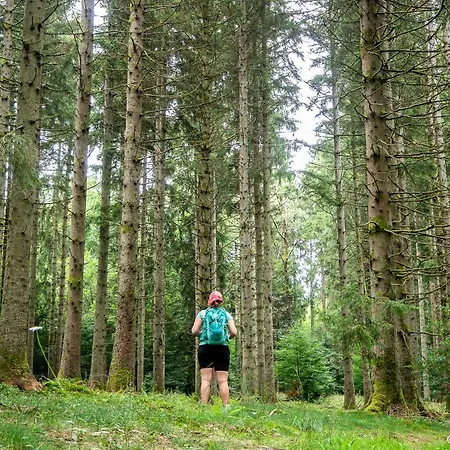Le Scailleteux - De Charme Clôturé, Accès à La Rivière * Fauvillers